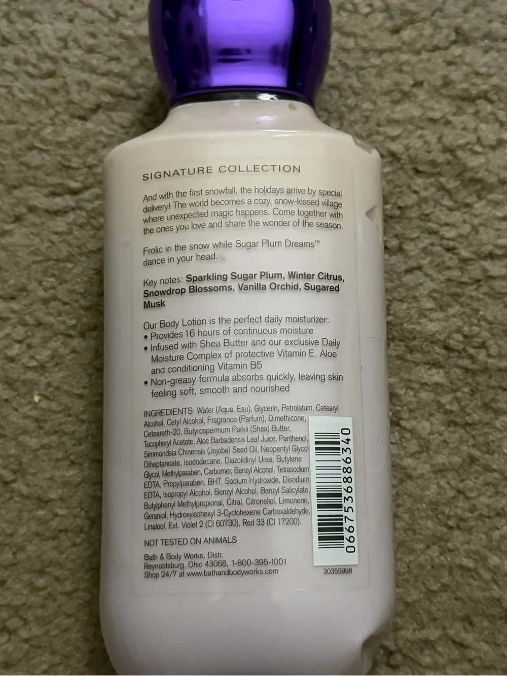 Bath & Body Works Sugar Plum Dream Body Lotion New